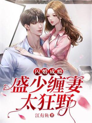 盛少宠妻成瘾