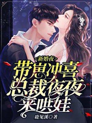 总裁他毁了我!
