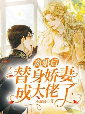 替身娇妻是全能大佬