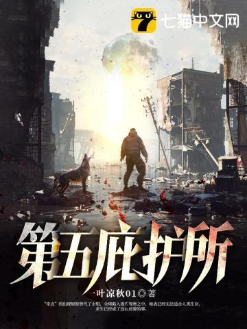 庇护所最强武器