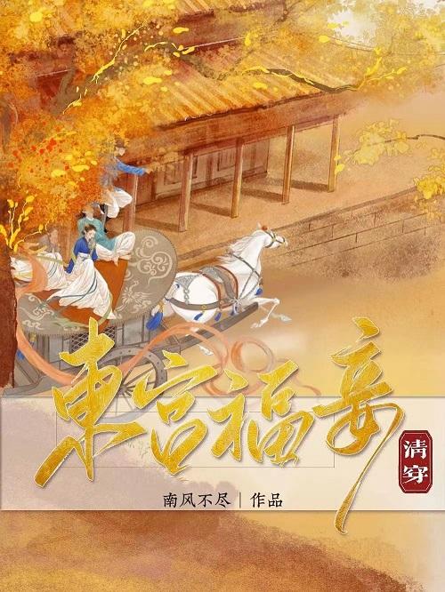 东宫福妾(清穿)讲什么