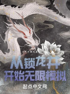 从锁龙井开始无限模拟进化