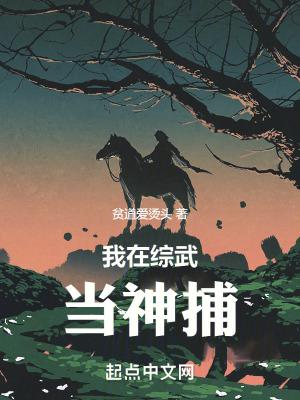 我在综武当神捕20网