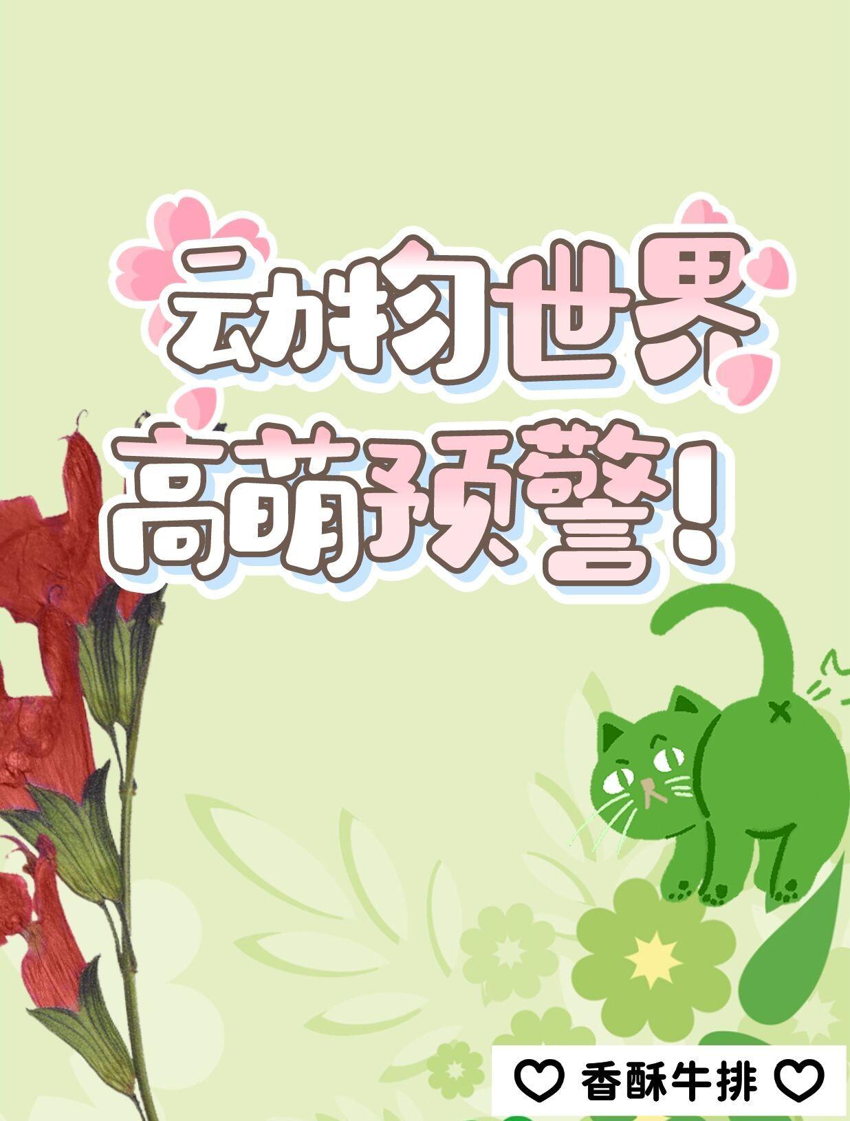 动物世界万人迷图鉴(快穿)by香酥牛排