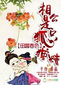 狐狸相公