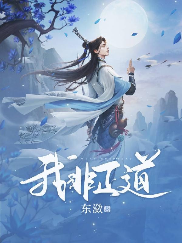 正道无敌电视剧