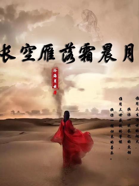 长空雁影图片