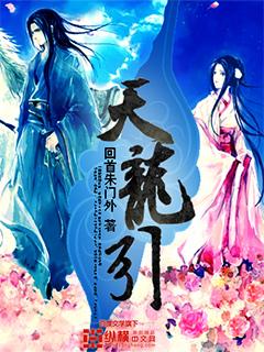 天龙引简介