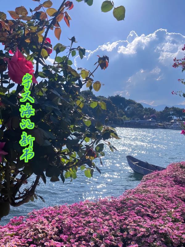 宇文海涛