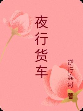 大货车夜间行车