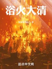 浴火大清正版阅读
