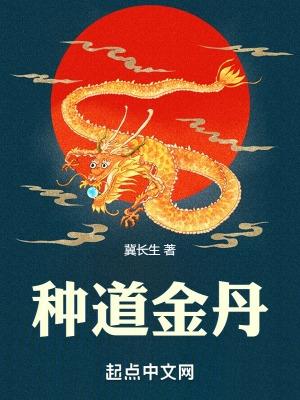 丹道丹道