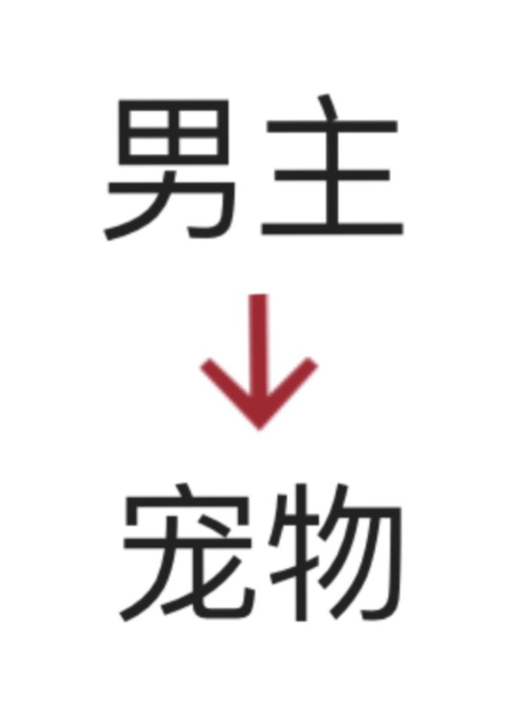 男主变成女主的宠物
