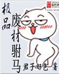 极品驸马在线阅读