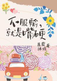 不服输就是嘴硬全文免费阅读