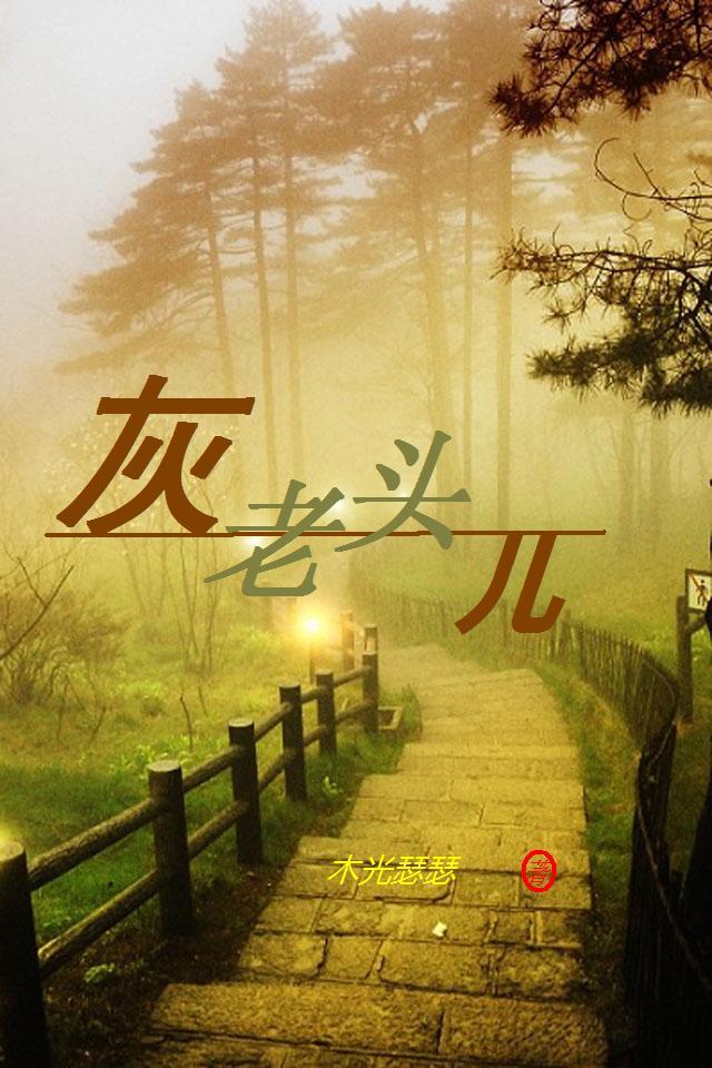 灰头小宝所有作品
