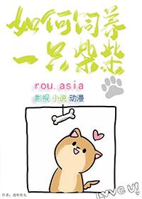 如何驯养柴犬