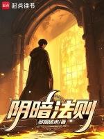 暗夜法则