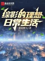 综影视的话本