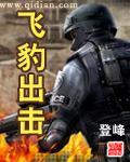 飞豹出击百度