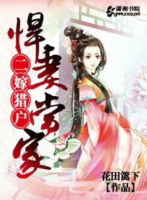 二嫁夫人