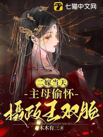 二嫁嫁给皇上的
