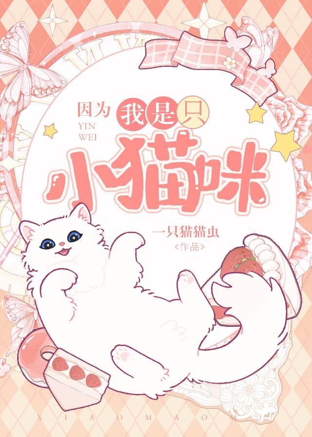 因为我只是一只小猫咪 表情包