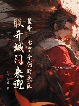 七皇子电视剧