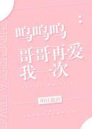 呜呜呜哥哥再爱我一次百度