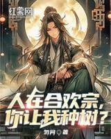 苏清音沈言禾古文