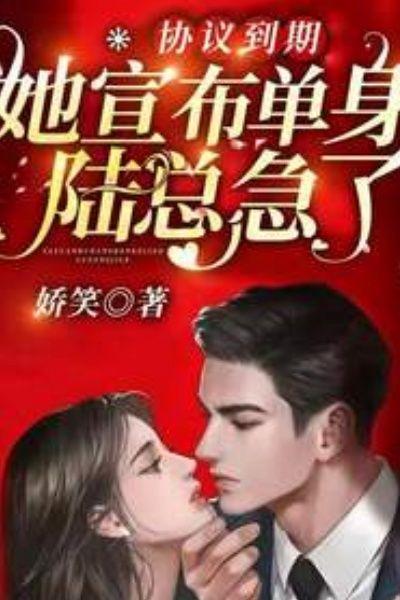 协议结婚后我离不掉了陆难