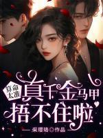 超准哒全文免费阅读