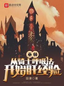 巫师世界骑士等级