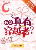 真有穿越者?作者雨落窗帘