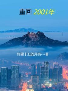 重回2001年升级加点