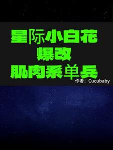 星际小白怎么联网