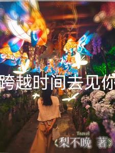 昼夜同行 糜烂木棉