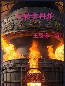 九转金丹炉第二部口碑