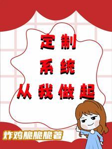 如何定制系统
