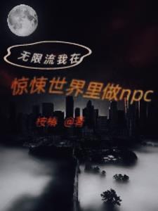 在无限恐怖里当系统
