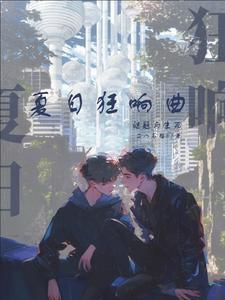 夏日狂想曲+是什么