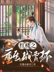 穿越红楼梦中成为庶子