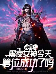 神印黑夜女神今天篡位成功了吗的