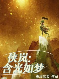 侠岚之飞卢