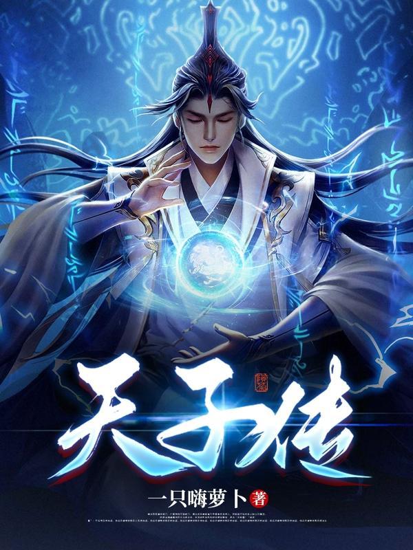 天子传奇有几部