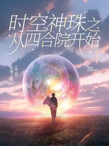 时空神珠之从四合院开始主角陈阳些说