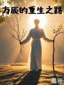 主人公叫方辰的穿越