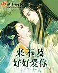 来不及再爱你