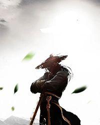 升级武道奉香人