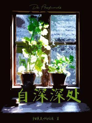 自深深处哪个译本好